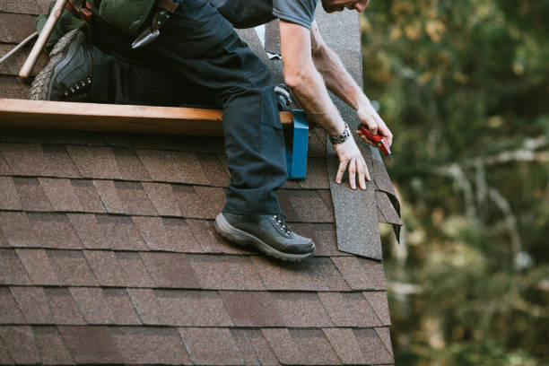 Best Roof Gutter Cleaning  in Highland Rk, PA