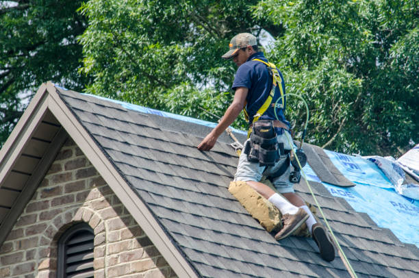 Roof Repair Estimates in Highland Park, PA